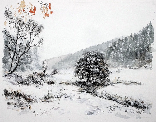 16-nature_heidrun-art-de